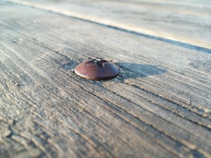 lg-g2-kamerabild-04