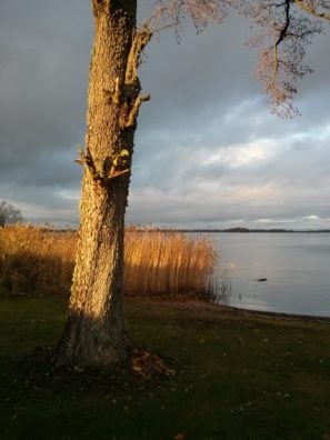 lg-google-nexus-4-kamerabild-11