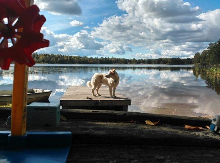 Dela med dig av dina favoritfotografier tagna med mobil