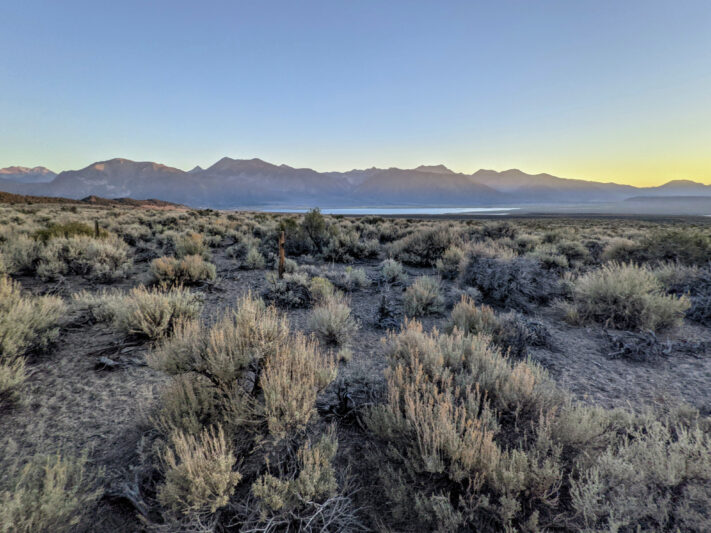 Google delar fotografier tagna med Pixel 5 och Pixel 4a 5G
